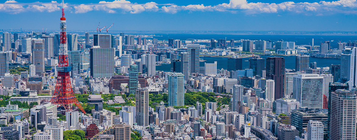 事業内容